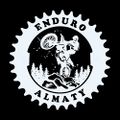 Enduro almaty logo jpg 2.jpg